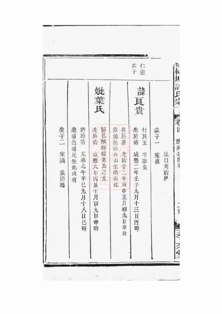 孝友堂桃柿塘许氏宗谱四卷.pdf电子版下载预览图3