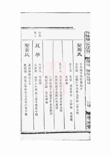 孝友堂桃柿塘许氏宗谱四卷.pdf电子版下载预览图5