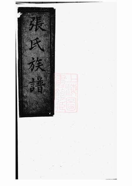 孝友堂张氏族谱不分卷
