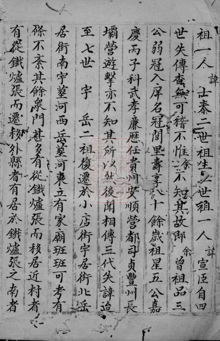 河南西平张氏家谱不分卷.pdf电子版下载预览图2