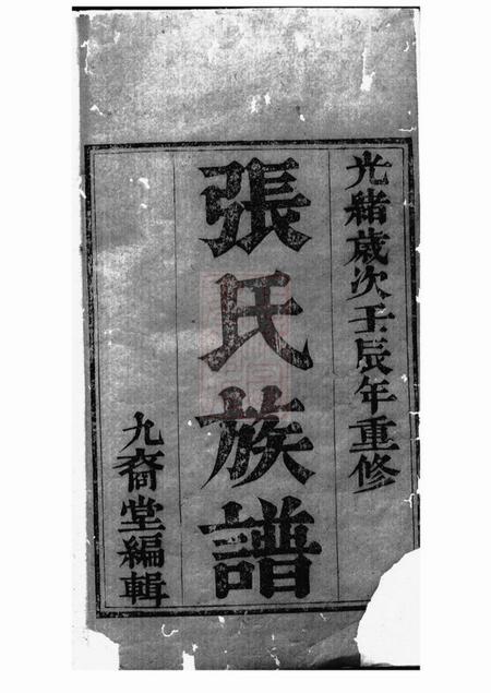 如九裔堂如皋张氏族谱十一卷首一卷.pdf电子版下载
