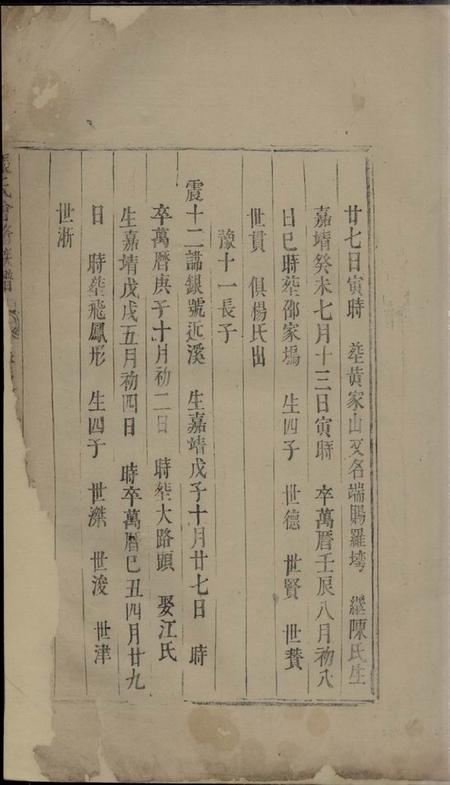东阳等张氏会修族谱不分卷.pdf电子版下载缩略图