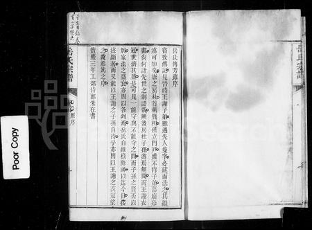 浙江岳氏族谱-嘉禾岳氏宗谱 [5卷, 卷首及附庆余录].pdf电子版预览图4