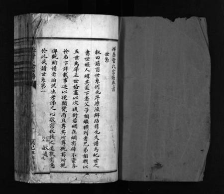 浙江管氏族谱-垟岙管氏宗谱 [不分卷].pdf电子版预览图1