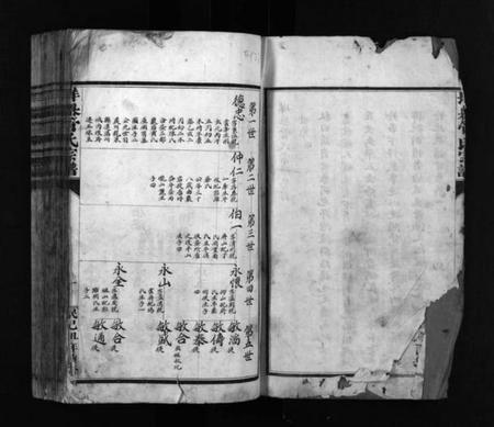 浙江管氏族谱-垟岙管氏宗谱 [不分卷].pdf电子版预览图2