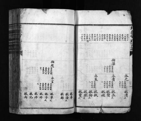 浙江管氏族谱-垟岙管氏宗谱 [不分卷].pdf电子版预览图3