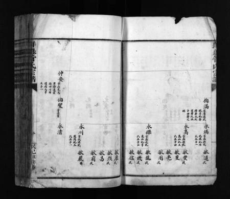 浙江管氏族谱-垟岙管氏宗谱 [不分卷].pdf电子版预览图4