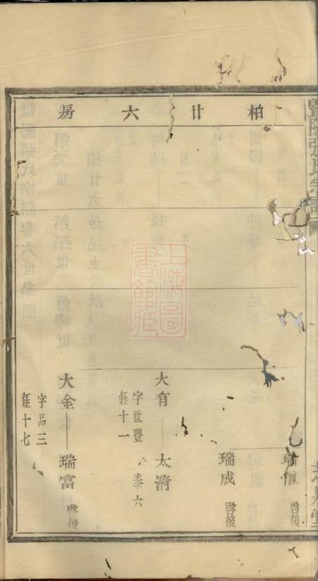 暨阳芝泉堂暨阳张氏宗谱.pdf电子版下载预览图3