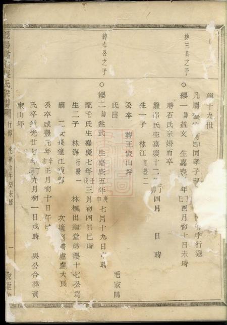 暨阳敦睦堂暨阳嵩山张氏宗谱.pdf电子版下载预览图2