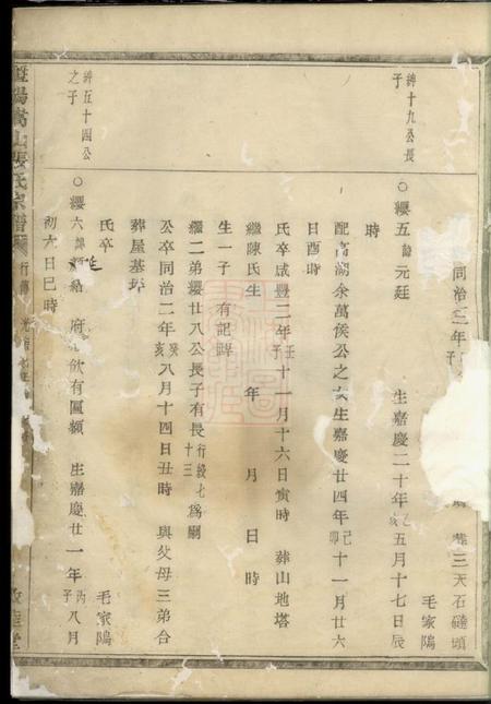 暨阳敦睦堂暨阳嵩山张氏宗谱.pdf电子版下载预览图4