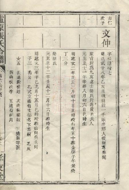 卢原孝友堂卢原张氏合谱不分卷.pdf电子版下载预览图2