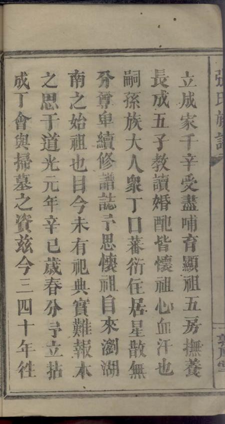 浏阳乐育堂张氏七修支谱二卷.pdf电子版下载预览图1