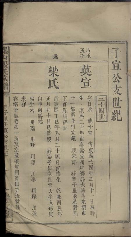 浏阳孝友堂螺山张氏族谱不分卷.pdf电子版下载预览图2