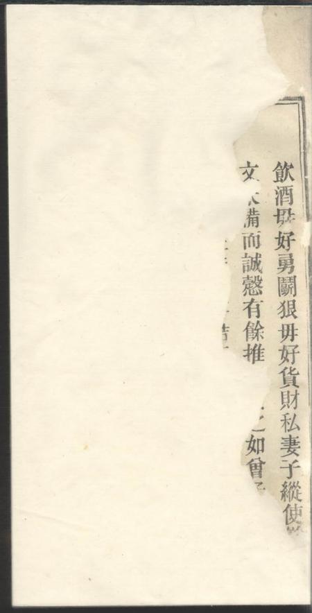 怀宁等三治堂张氏宗谱三十二卷首一卷末一卷.pdf电子版下载预览图2