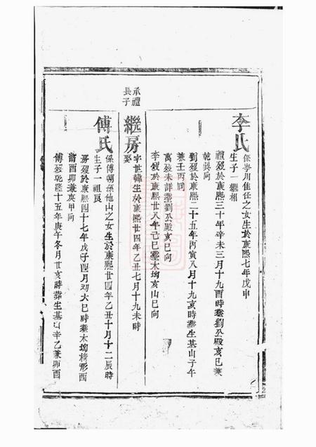清河堂张氏族谱.pdf电子版下载预览图2