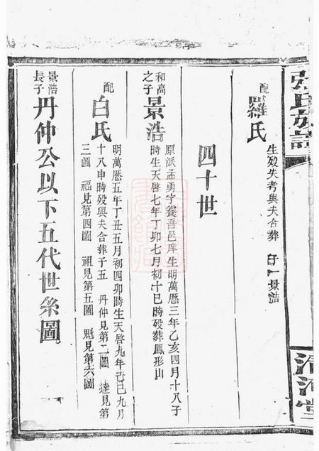 清河堂张氏族谱.pdf电子版下载预览图5