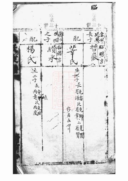 清河堂张氏支谱不分卷.pdf电子版下载预览图