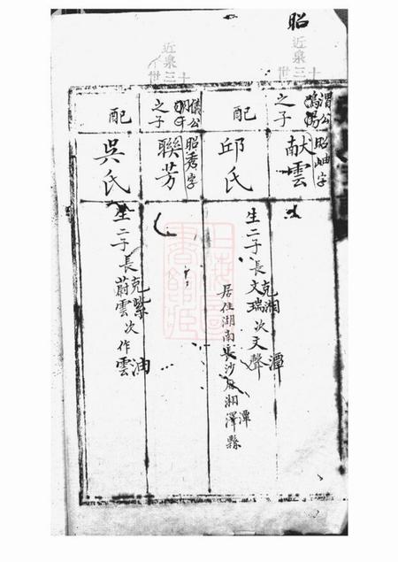 清河堂张氏支谱不分卷.pdf电子版下载预览图1