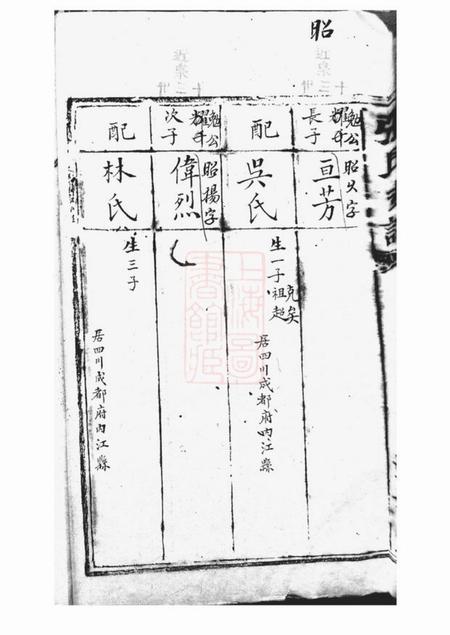 清河堂张氏支谱不分卷.pdf电子版下载预览图3