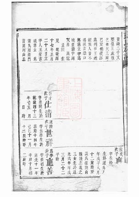 岳阳彭氏族谱.pdf电子版下载预览图3