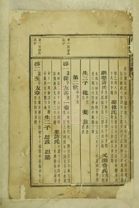 东阳白石斯氏宗谱.pdf电子版下载预览图1