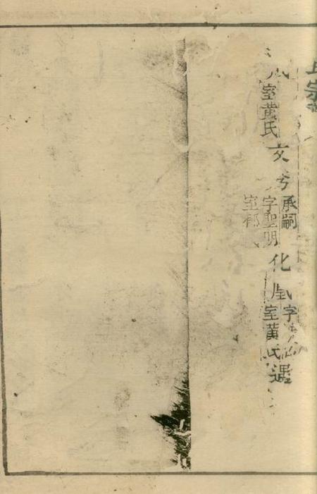 崇明叶氏宗谱不分卷.pdf电子版下载预览图5