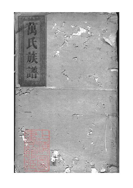 湖南岳阳巴陵扶风堂万氏大全族谱不分卷.pdf电子版下载预览图