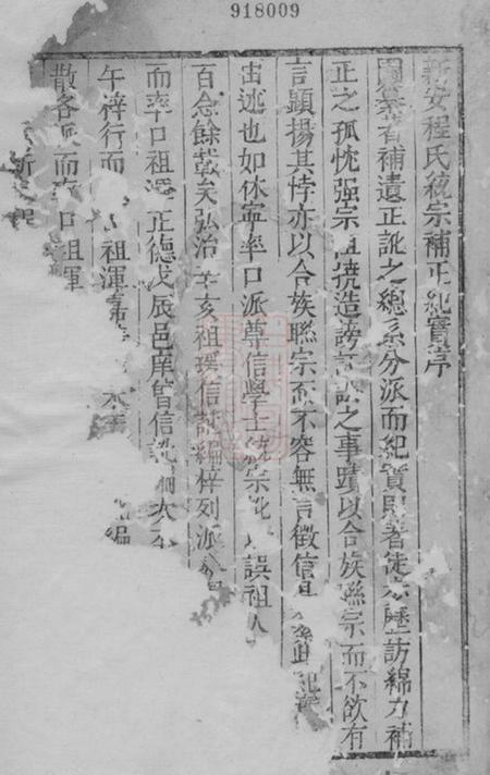 新安新安程氏统宗补正纪实一卷.pdf电子版下载预览图1
