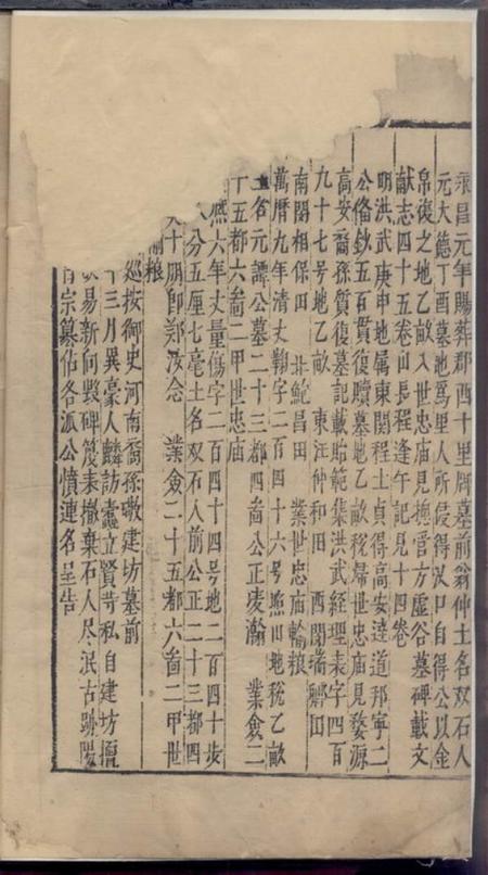 新安.pdf电子版下载预览图2
