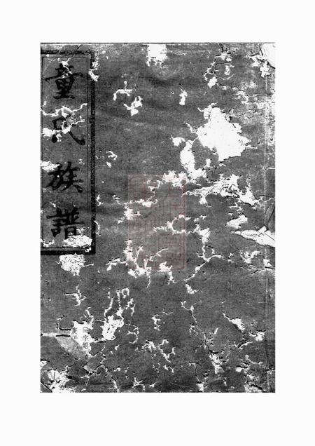 长沙雁门堂童氏族谱不分卷