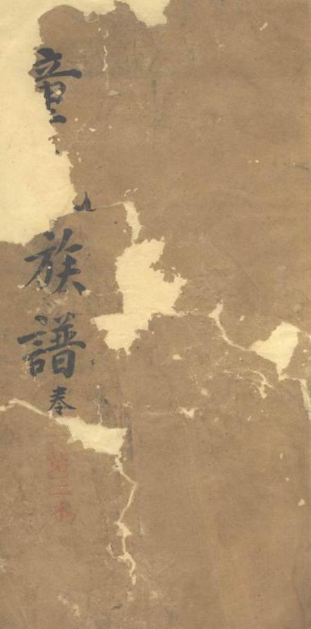 桃源南城堂童氏族谱