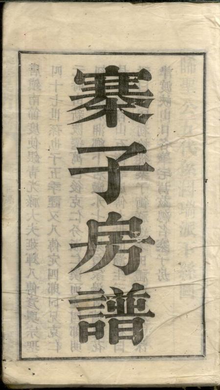 湘乡仁让堂武城曾氏榔山族谱不分卷.pdf电子版下载预览图1