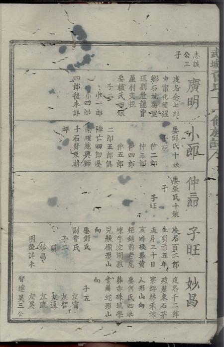 瑞金东鲁武城曾氏十一修族谱不分卷.pdf电子版下载预览图4