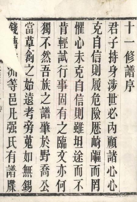 溧阳强氏宗谱.pdf电子版下载预览图1