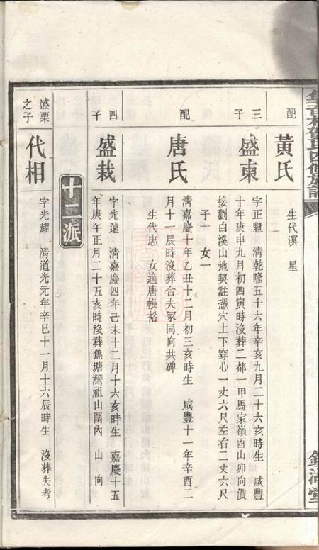 湘潭镜湖堂中湘篁奇林贺氏四修谱.pdf电子版下载预览图5