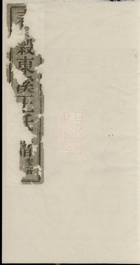 太平春□东溪王氏续修族谱二十八卷首一卷.pdf电子版下载预览图