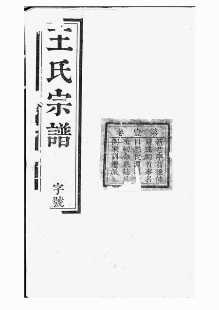 桐城崇孝堂皖桐王氏宗谱十八卷