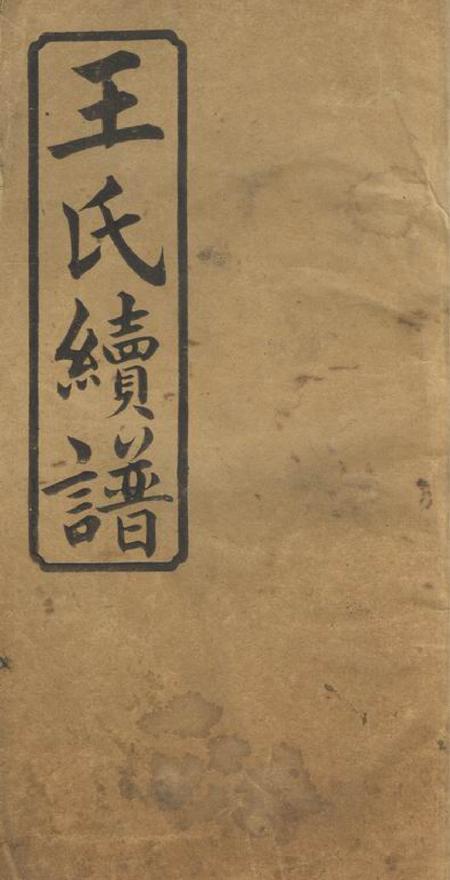 桃源三槐堂王氏续谱