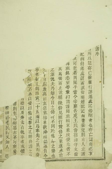 浦阳浦阳王氏宗谱不分卷.pdf电子版下载预览图1