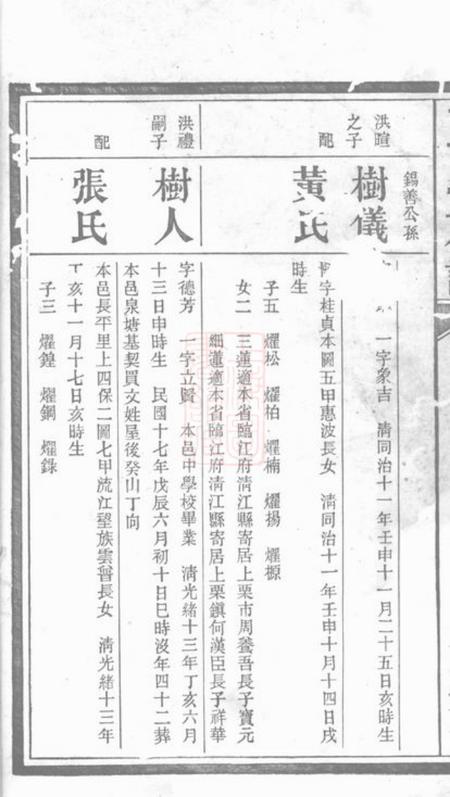 萍乡笃亲堂王氏族谱.pdf电子版下载预览图2