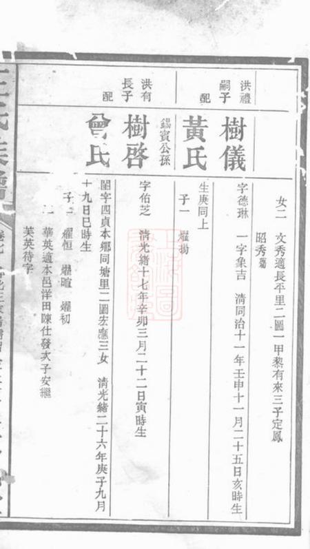 萍乡笃亲堂王氏族谱.pdf电子版下载预览图3