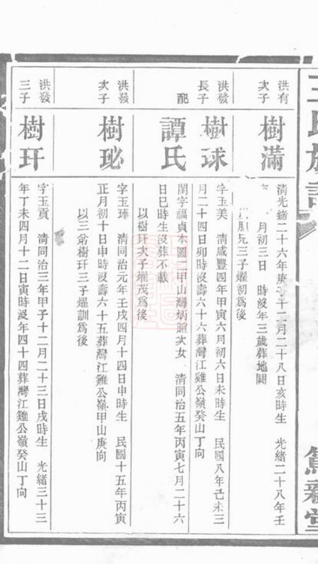 萍乡笃亲堂王氏族谱.pdf电子版下载预览图4
