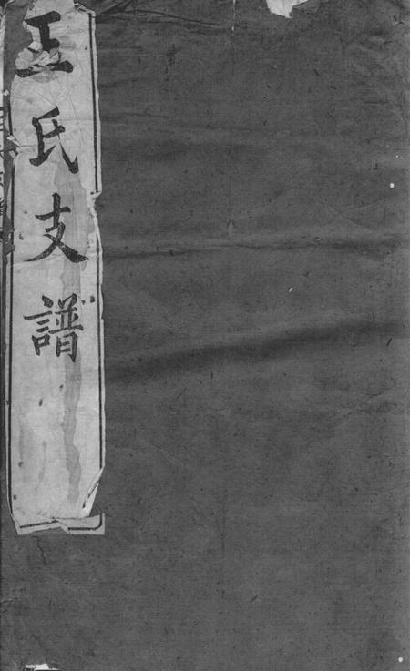 崇明王氏支谱不分卷