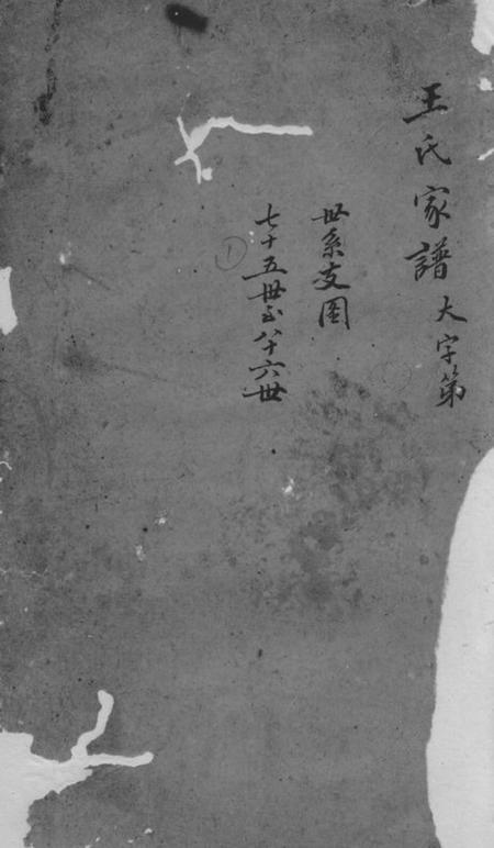 绍兴王氏族谱不分卷