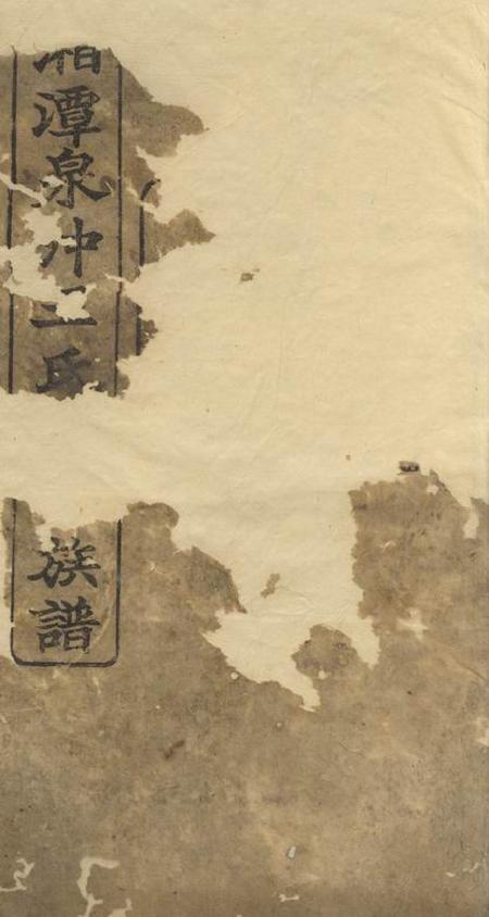 湘潭槐荫堂湘潭泉冲王氏五修族谱四十卷首一卷末一卷