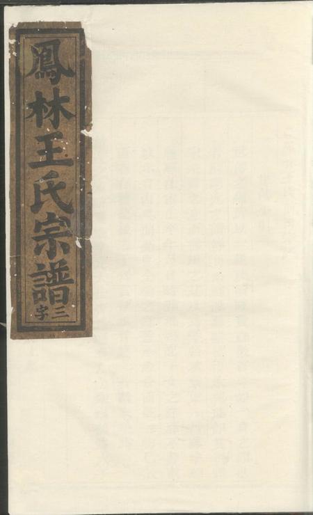 义乌凤林王氏宗谱