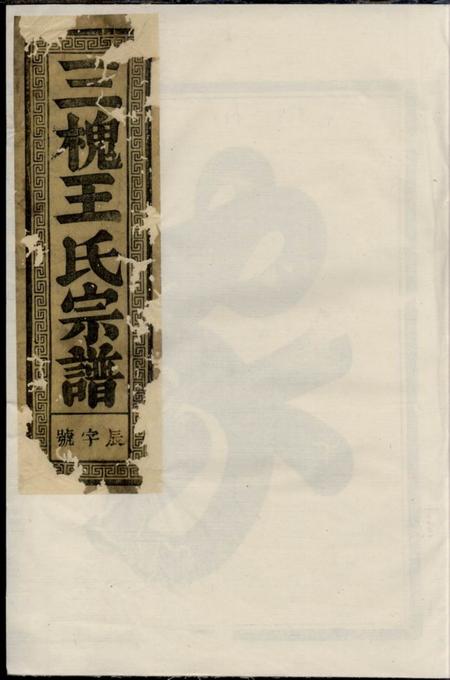 《兰溪三槐王氏宗谱》封面