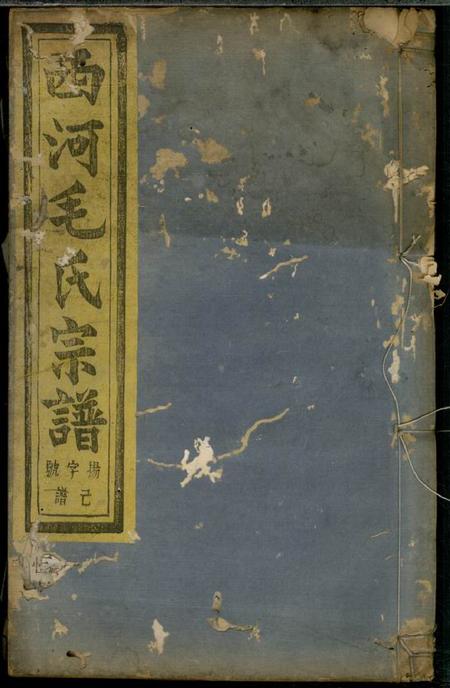 暨阳文振堂暨阳西河毛氏宗谱十六卷