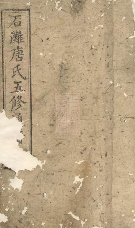宁乡晋阳堂石滩唐氏五修通谱
