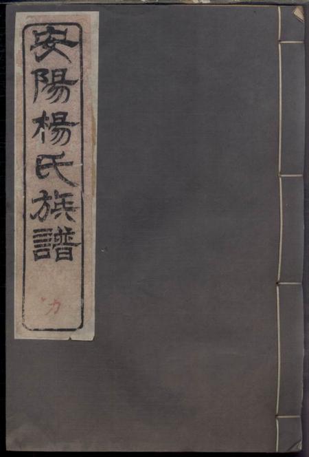 无锡敦睦堂安阳杨氏族谱二十四卷